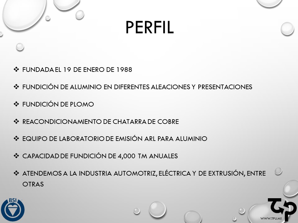 Curriculum Empresarial - Transformacion Puebla - www.TPU.mx  (2)