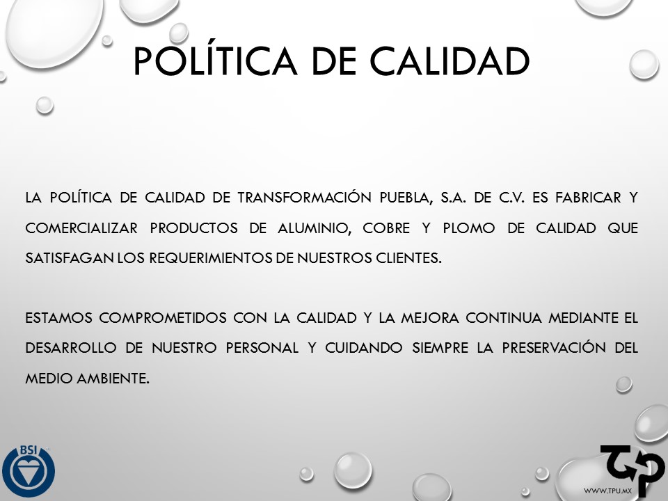 Curriculum Empresarial - Transformacion Puebla - www.TPU.mx  (4)
