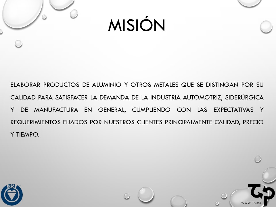 Curriculum Empresarial - Transformacion Puebla - www.TPU.mx  (5)